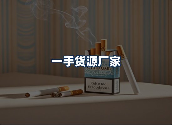 专业团队办公环境